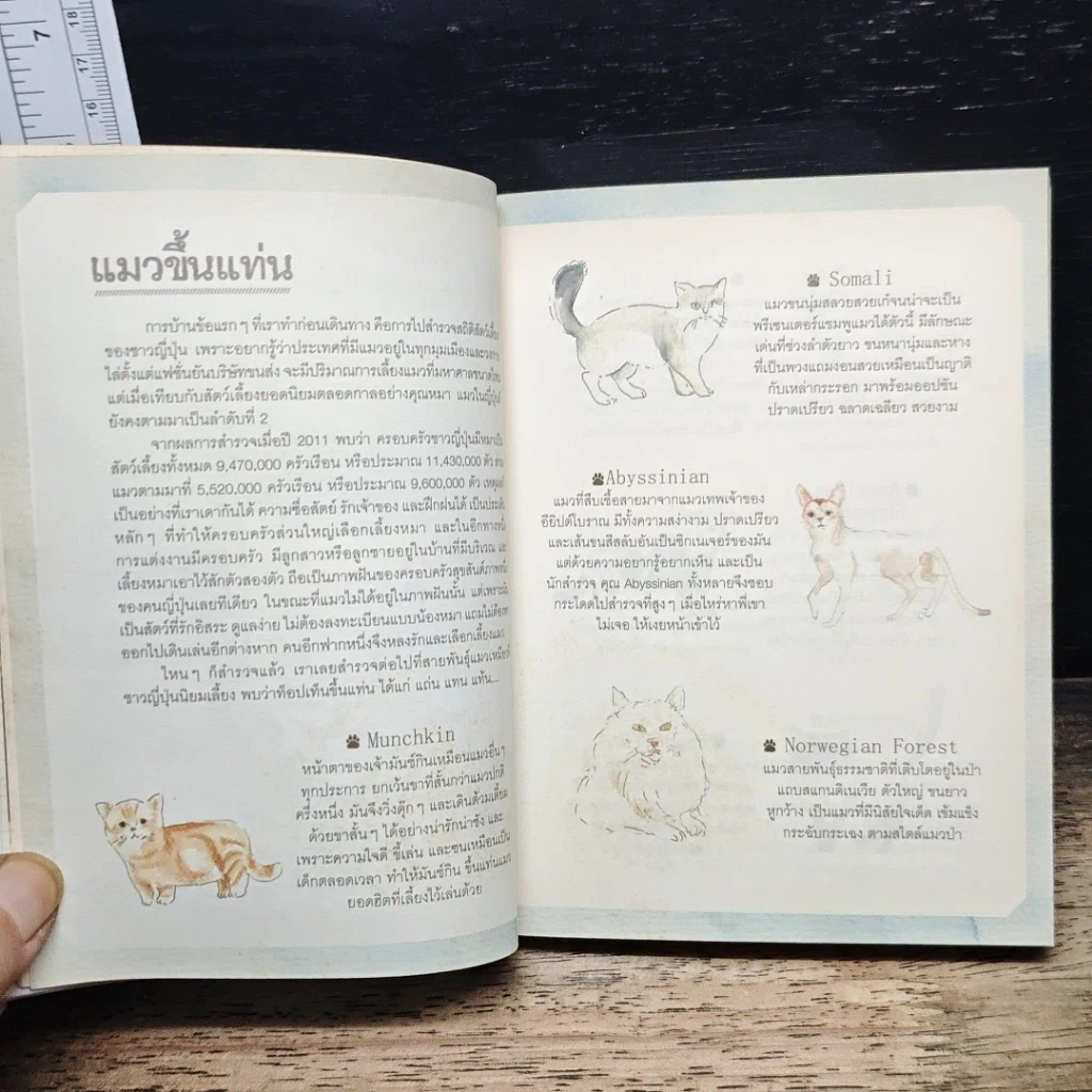 หนังสือ เหมียวอินเจแปน รูปที่ 9