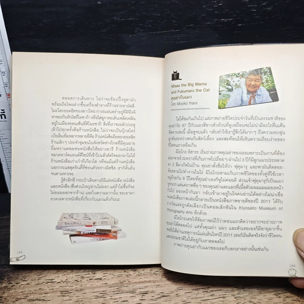 หนังสือ เหมียวอินเจแปน รูปที่ 10