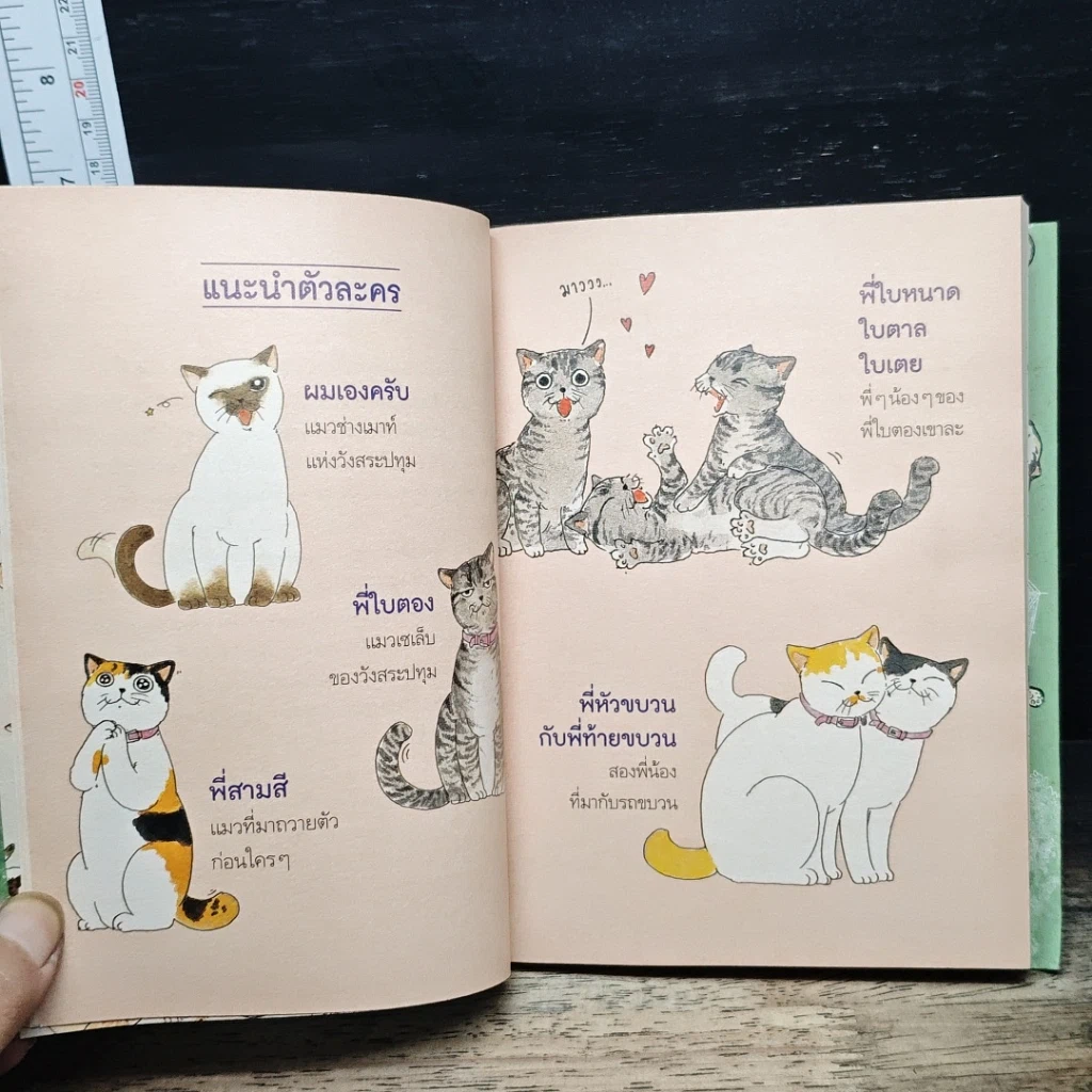 หนังสือ อยู่วังสระปทุม รูปที่ 7