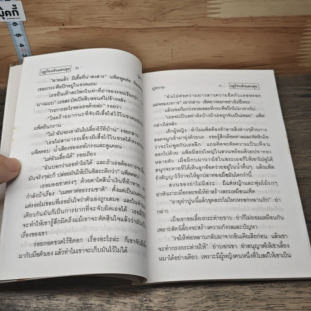 ฤดูร้อนอันแสนสุข รูปที่ 7