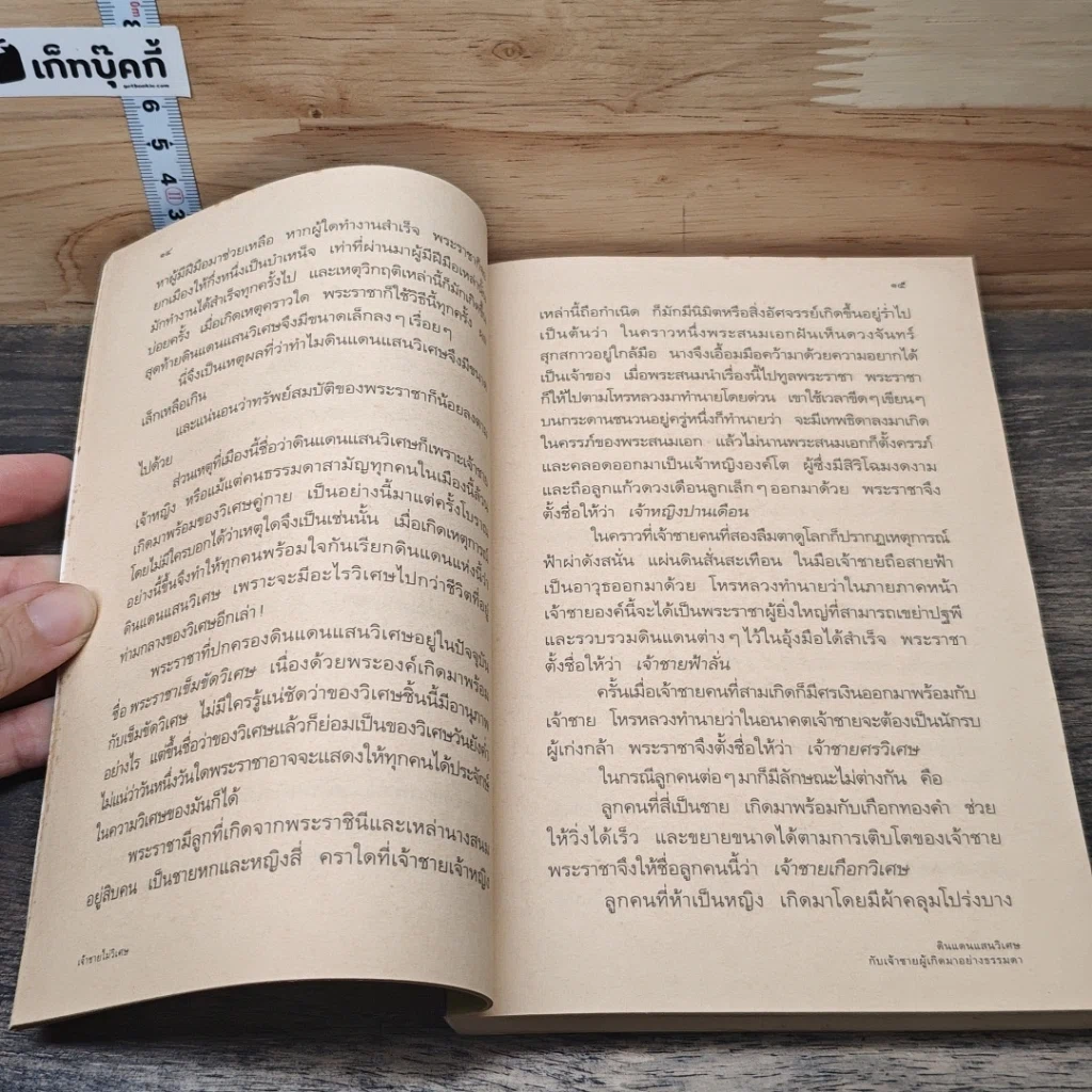 เจ้าชายไม่วิเศษ รูปที่ 7