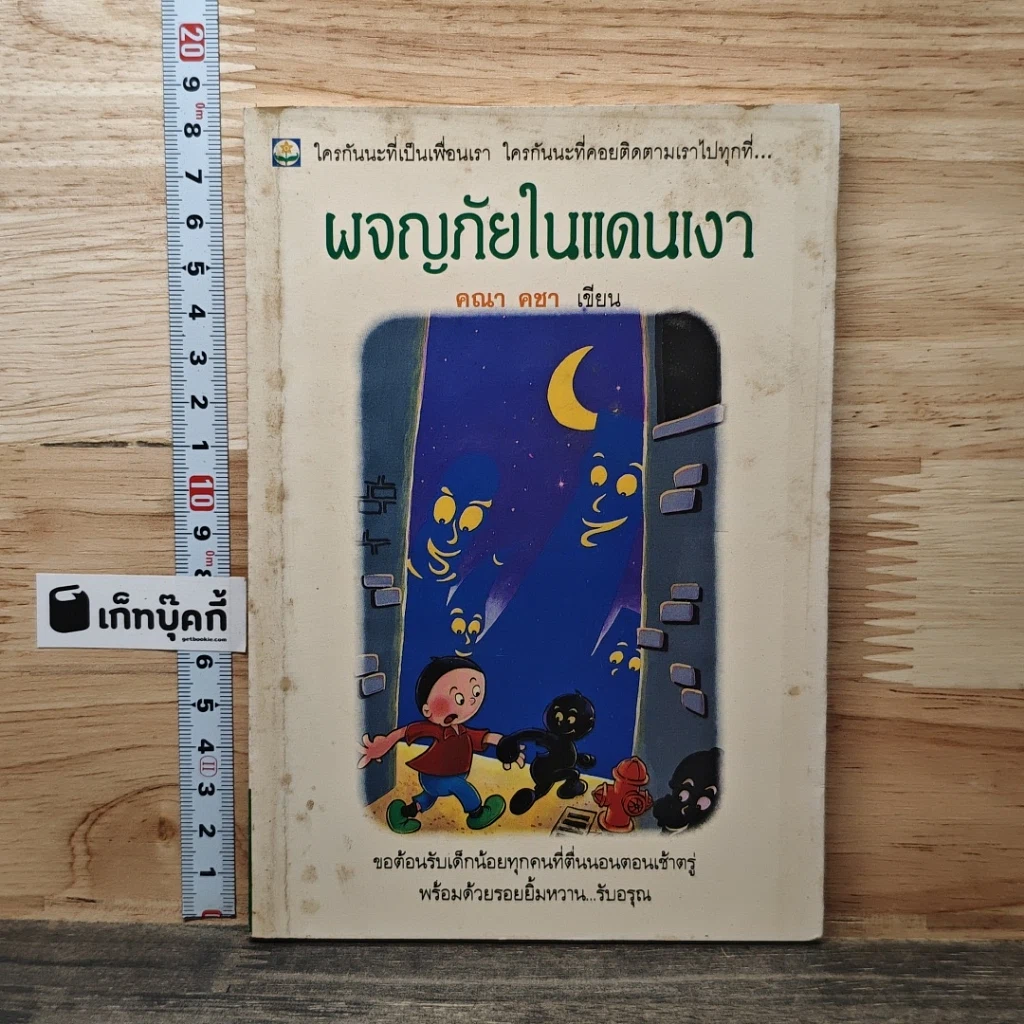 ผจญภัยในแดนเงา รูปที่ 1