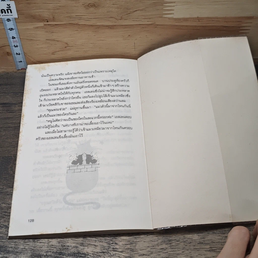 หนังสือ แม่มดในปล่องไฟ รูปที่ 9