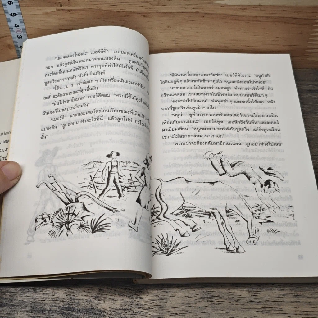 หนังสือ บ้านสตรอว์เบอร์รี รูปที่ 7