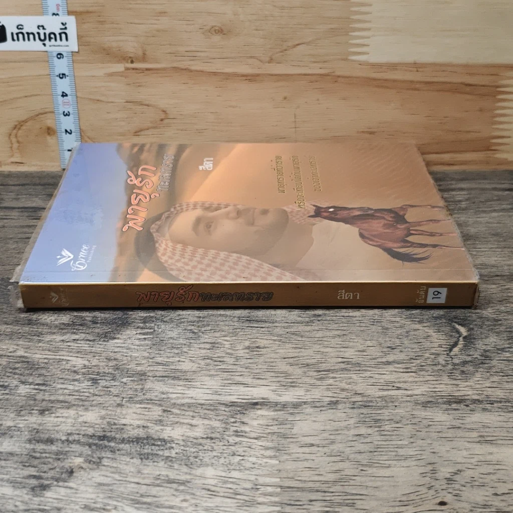 หนังสือ พายุรักทะเลทราย รูปที่ 2