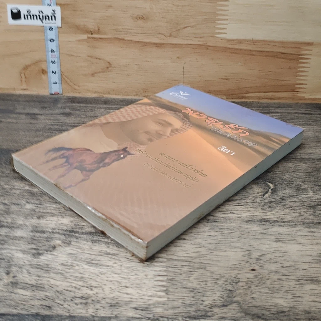 หนังสือ พายุรักทะเลทราย รูปที่ 3