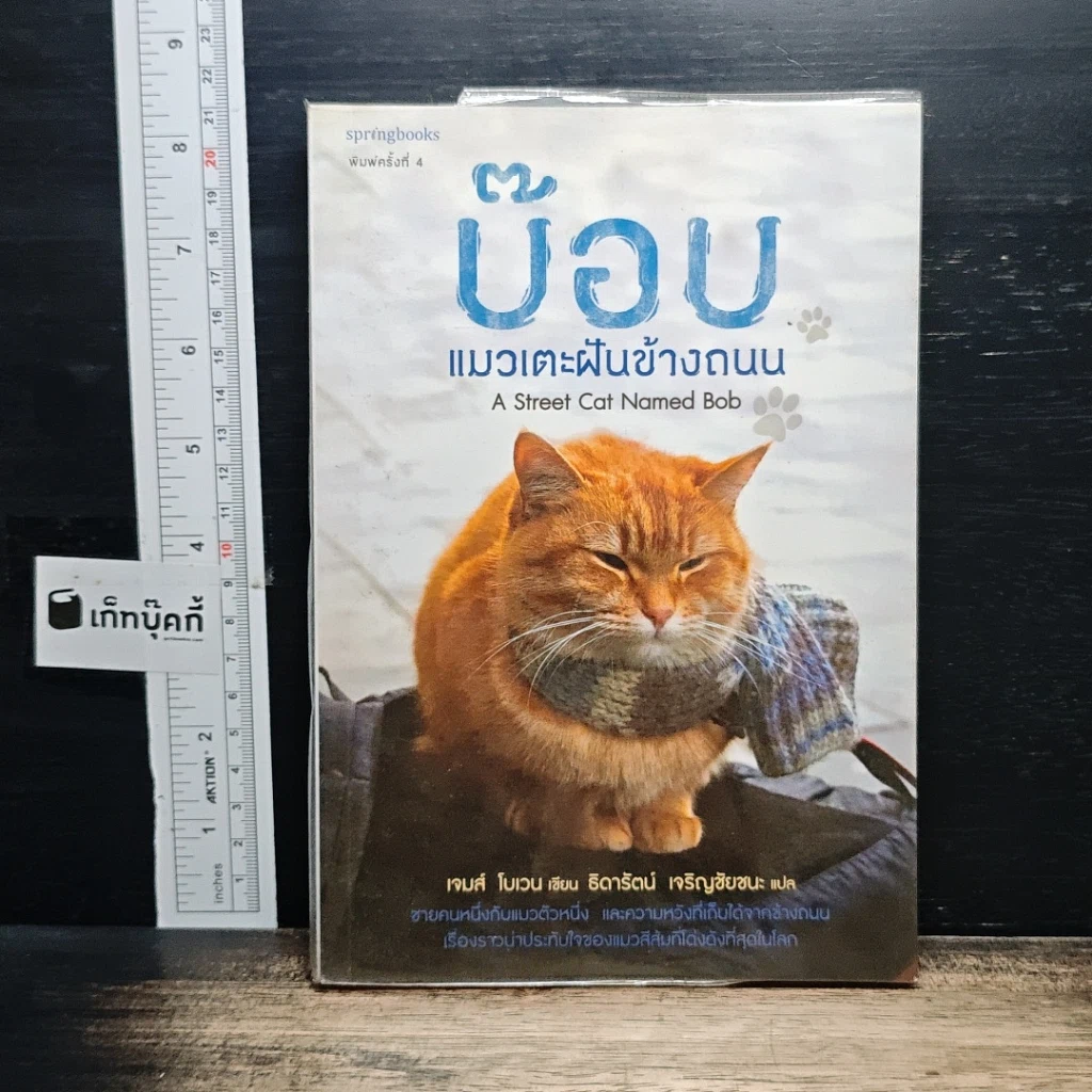 บ๊อบ แมวเตะฝันข้างถนน รูปที่ 1