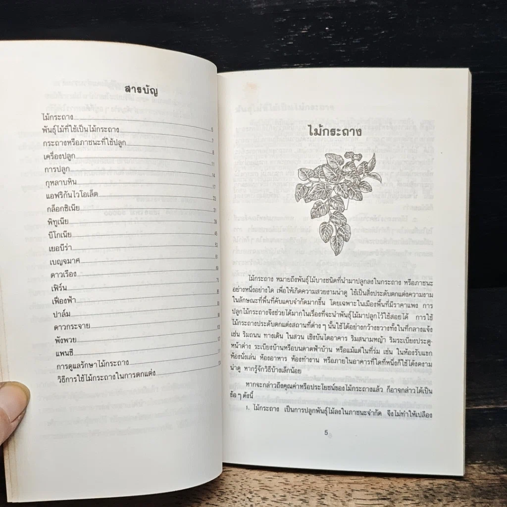 หนังสือ ไม้กระถาง รูปที่ 6