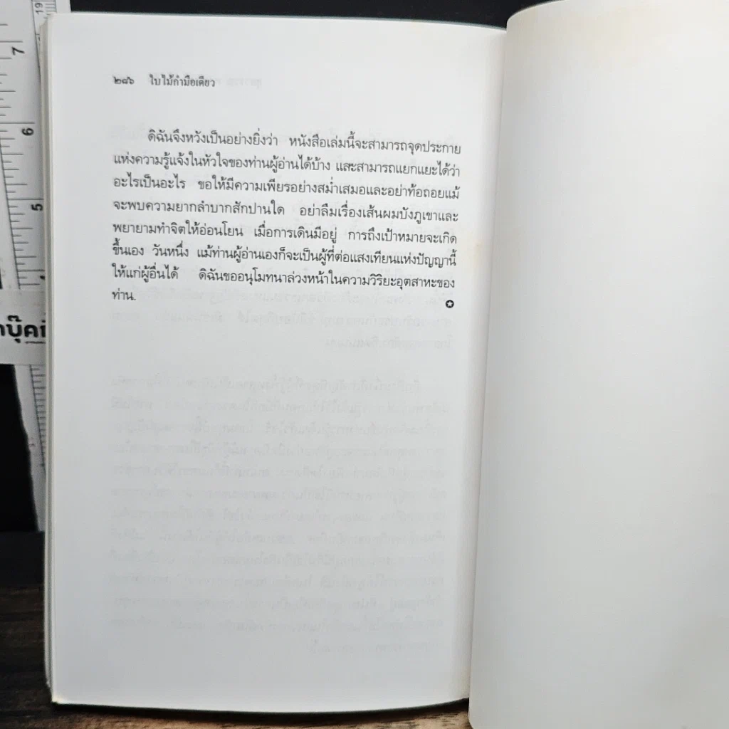 ใบไม้กำมือเดียว รูปที่ 11