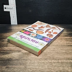 คู่มือเภสัชกรรมแผนไทย เล่ม 5 คณาเภสัช รูปที่ 5