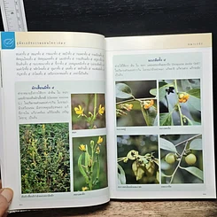 คู่มือเภสัชกรรมแผนไทย เล่ม 5 คณาเภสัช รูปที่ 11