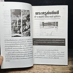 อาเพศ บางบทบาทของความเป็นไปในพุทรศาสนา รูปที่ 8