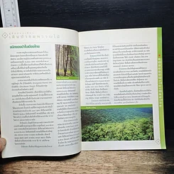 หนังสือ เดินป่าชมพรรณไม้ รูปที่ 7