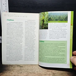 หนังสือ เดินป่าชมพรรณไม้ รูปที่ 8