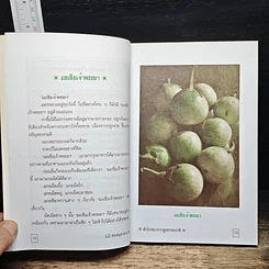 หนังสือ ผัก รูปที่ 9