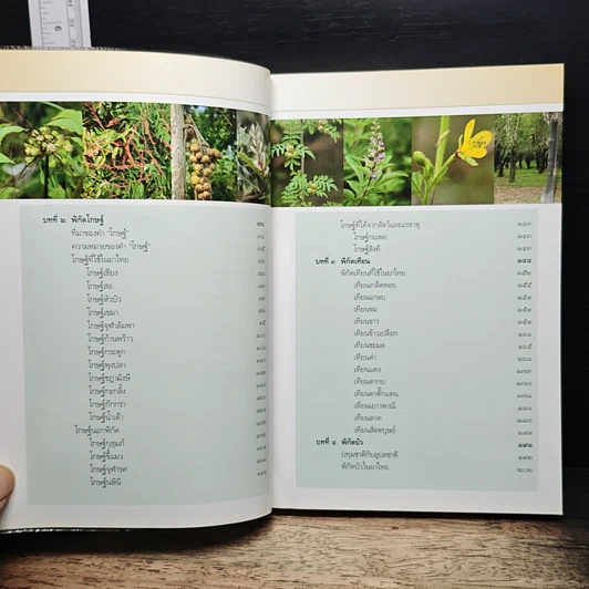 คู่มือเภสัชกรรมแผนไทย เล่ม 5 คณาเภสัช รูปที่ 7
