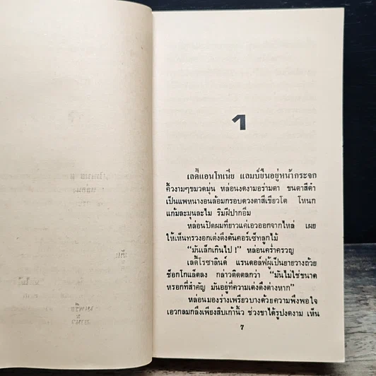 นิยายโรมานซ์ จำแลงรัก รูปที่ 7