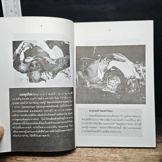 หนังสือ อาเพศ หรีดดำกับดาวนายดวงที่ล่วงลับ รูปที่ 7