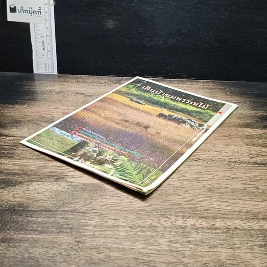 หนังสือ เดินป่าชมพรรณไม้ รูปที่ 4