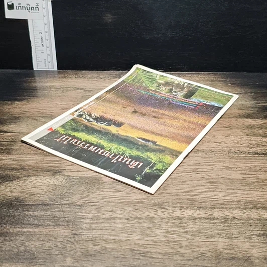 หนังสือ เดินป่าชมพรรณไม้ รูปที่ 5