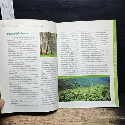 หนังสือ เดินป่าชมพรรณไม้ รูปที่ 7
