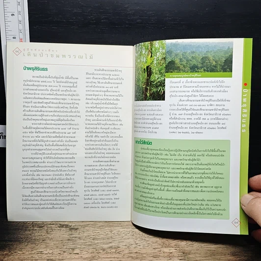 หนังสือ เดินป่าชมพรรณไม้ รูปที่ 8