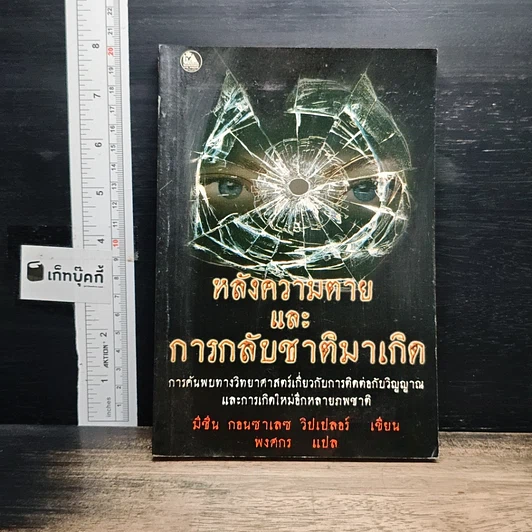 หลังความตายและการกลับชาติมาเกิด รูปที่ 1