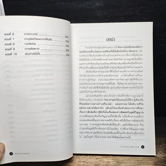 หลังความตายและการกลับชาติมาเกิด รูปที่ 8
