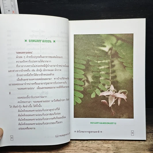หนังสือ ผัก รูปที่ 8