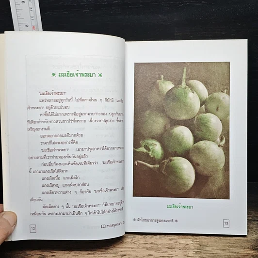 หนังสือ ผัก รูปที่ 9