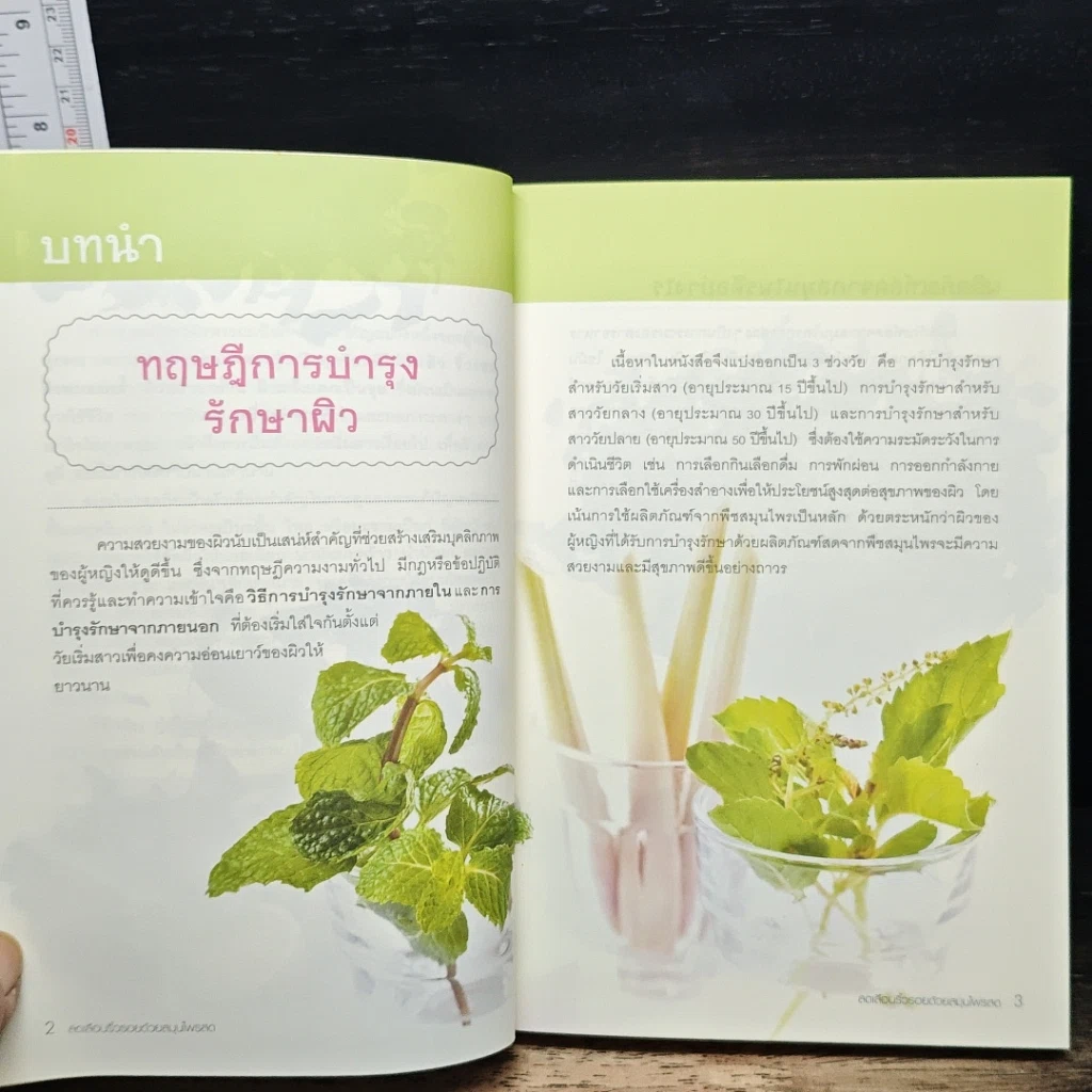 หนังสือ ลดเลือนริ้วรอยด้วยสมุนไพรสด รูปที่ 8