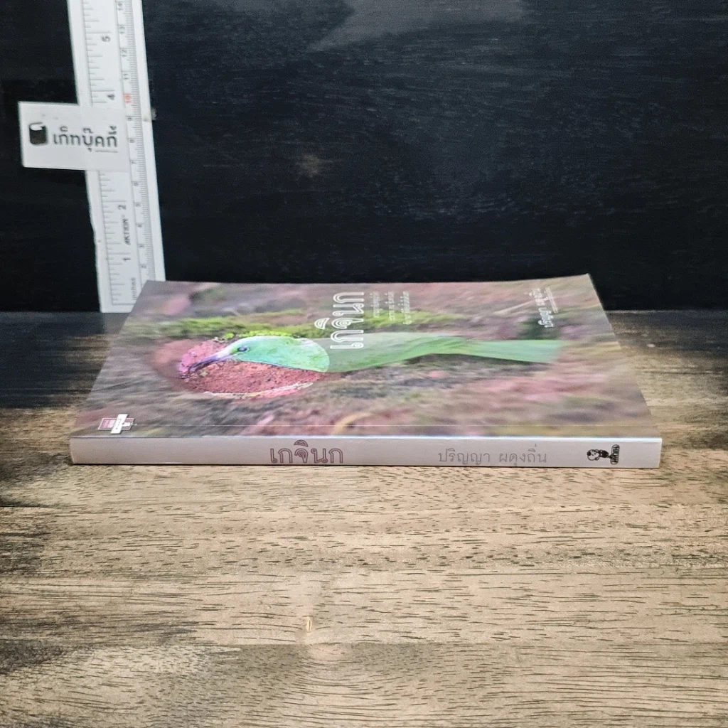 หนังสือ เกจินก รูปที่ 3