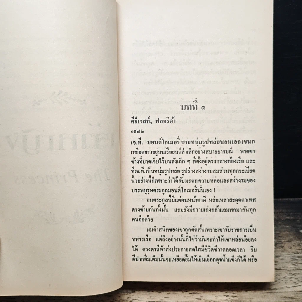 นิยายโรมานซ์ เจ้าหญิง รูปที่ 7