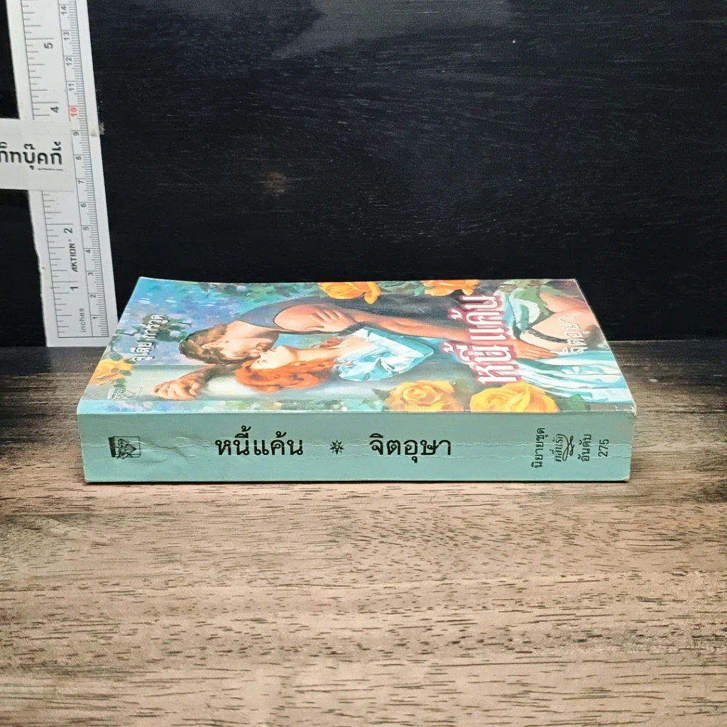 นิยายโรมานซ์ หนี้แค้น รูปที่ 3