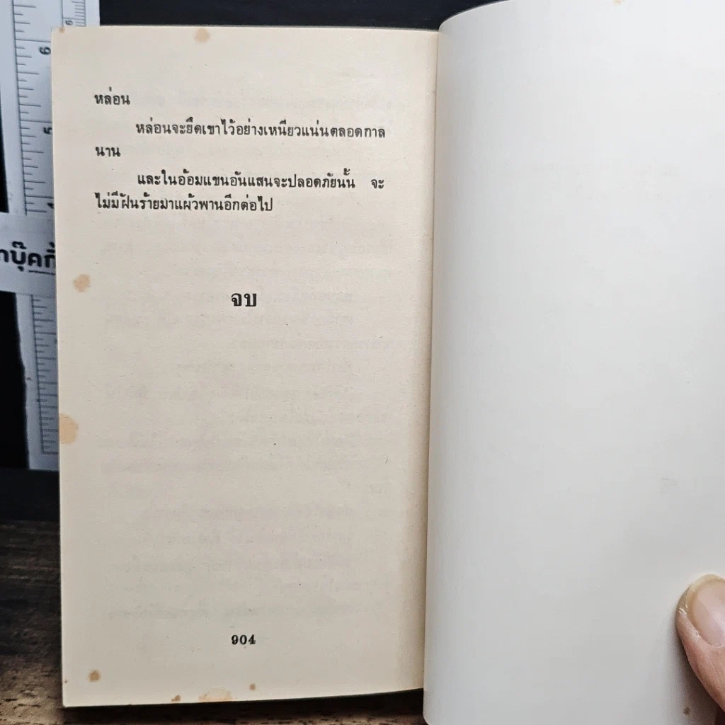 นิยายโรมานซ์ จอมสลัดหลวง รูปที่ 9