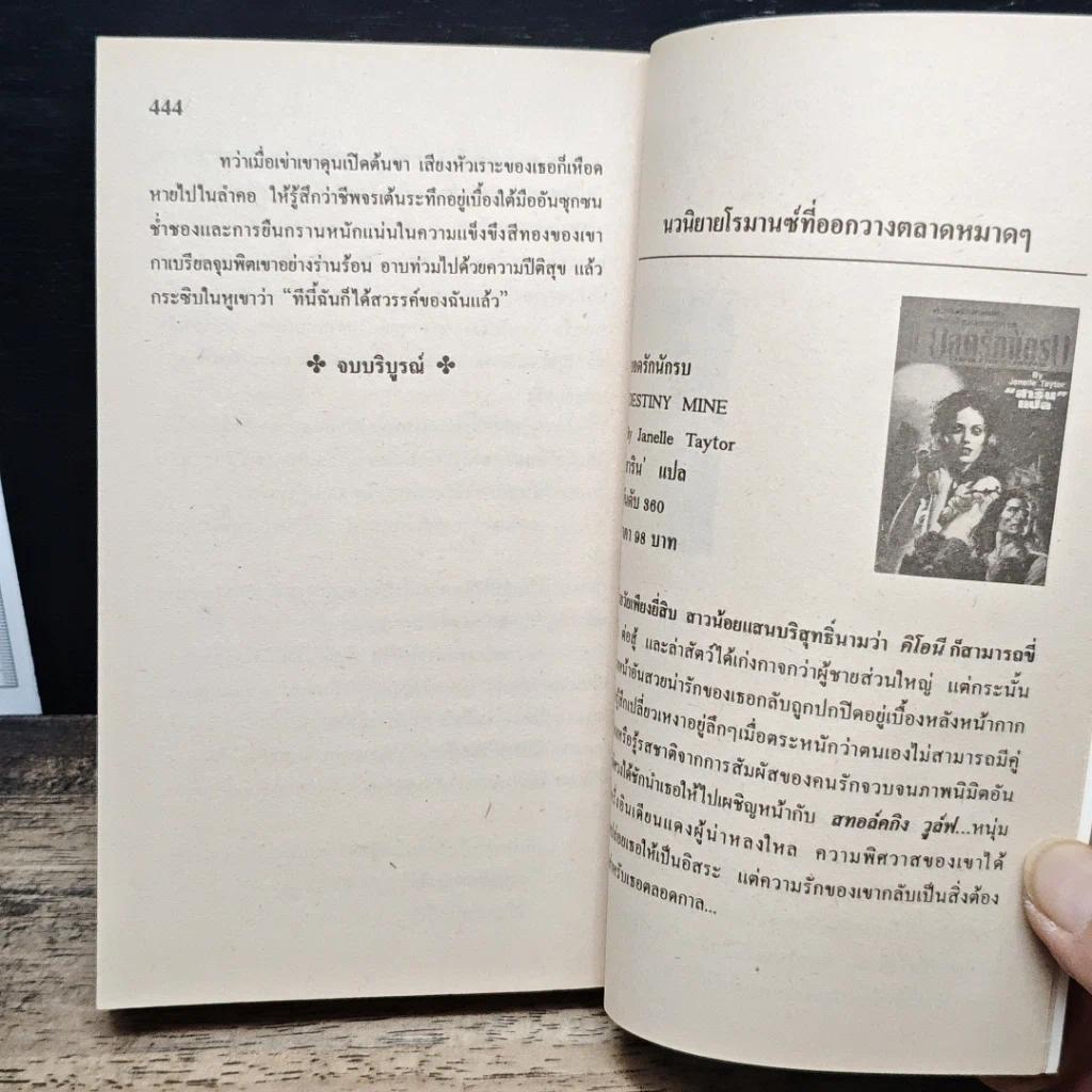 นิยายโรมานซ์ เจ้าแดนสรวง รูปที่ 8