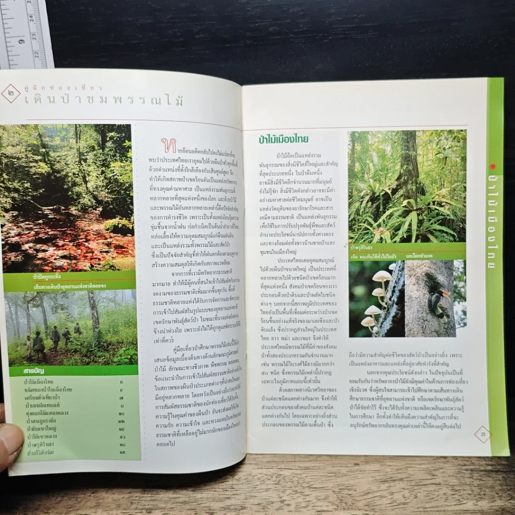 หนังสือ เดินป่าชมพรรณไม้ รูปที่ 6