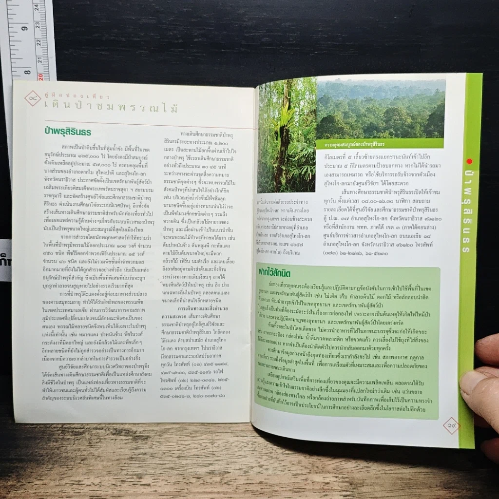 หนังสือ เดินป่าชมพรรณไม้ รูปที่ 8