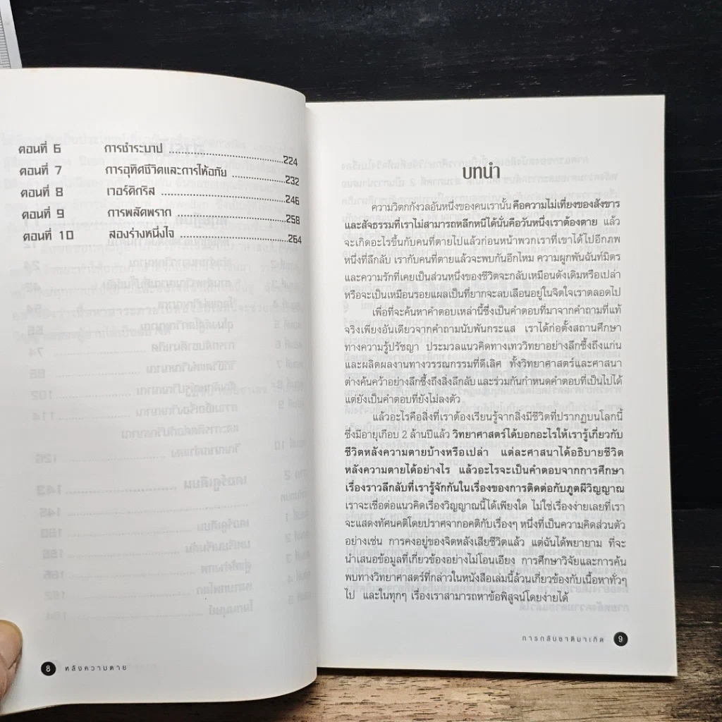 หลังความตายและการกลับชาติมาเกิด รูปที่ 8
