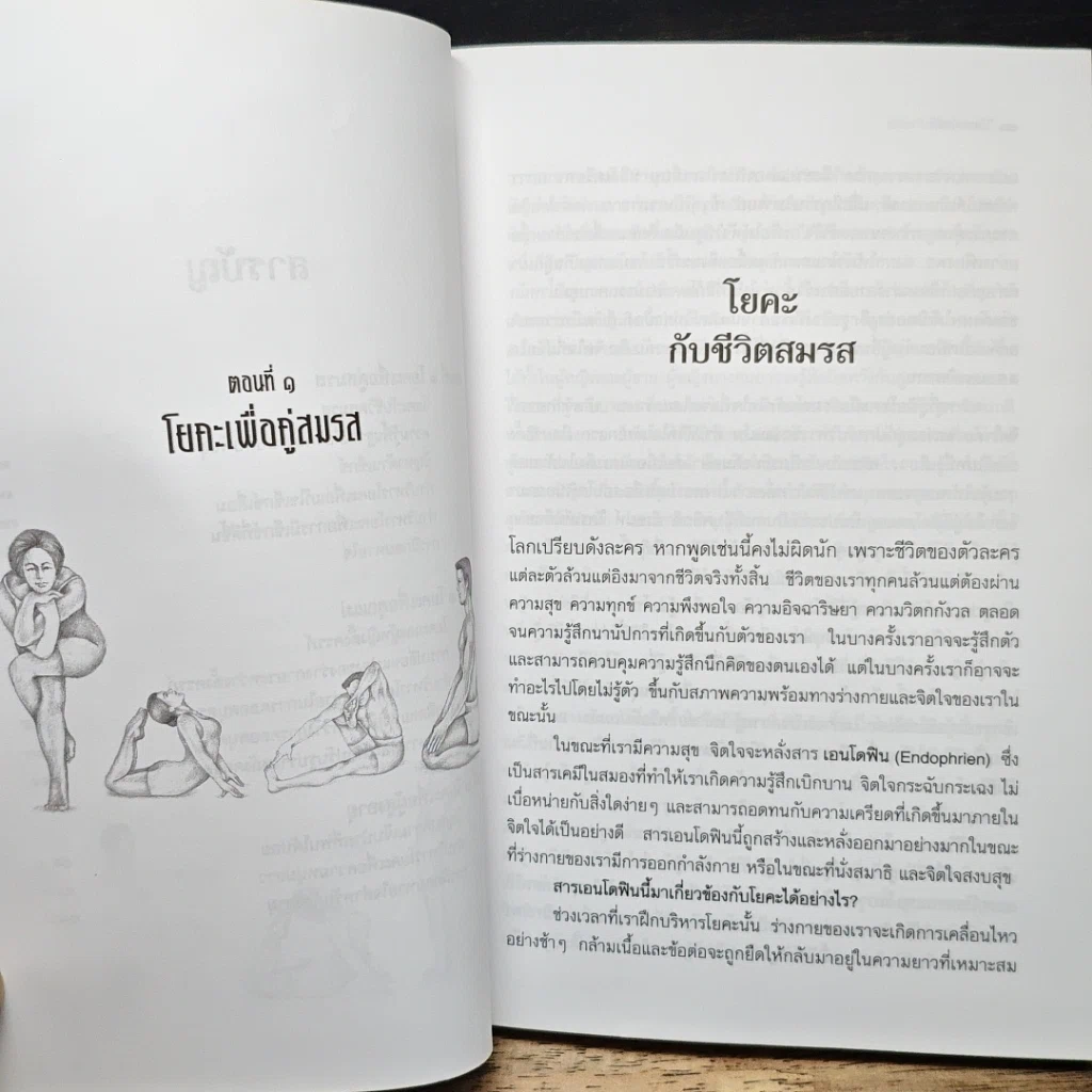 วิถีแห่งโยคะ รูปที่ 8