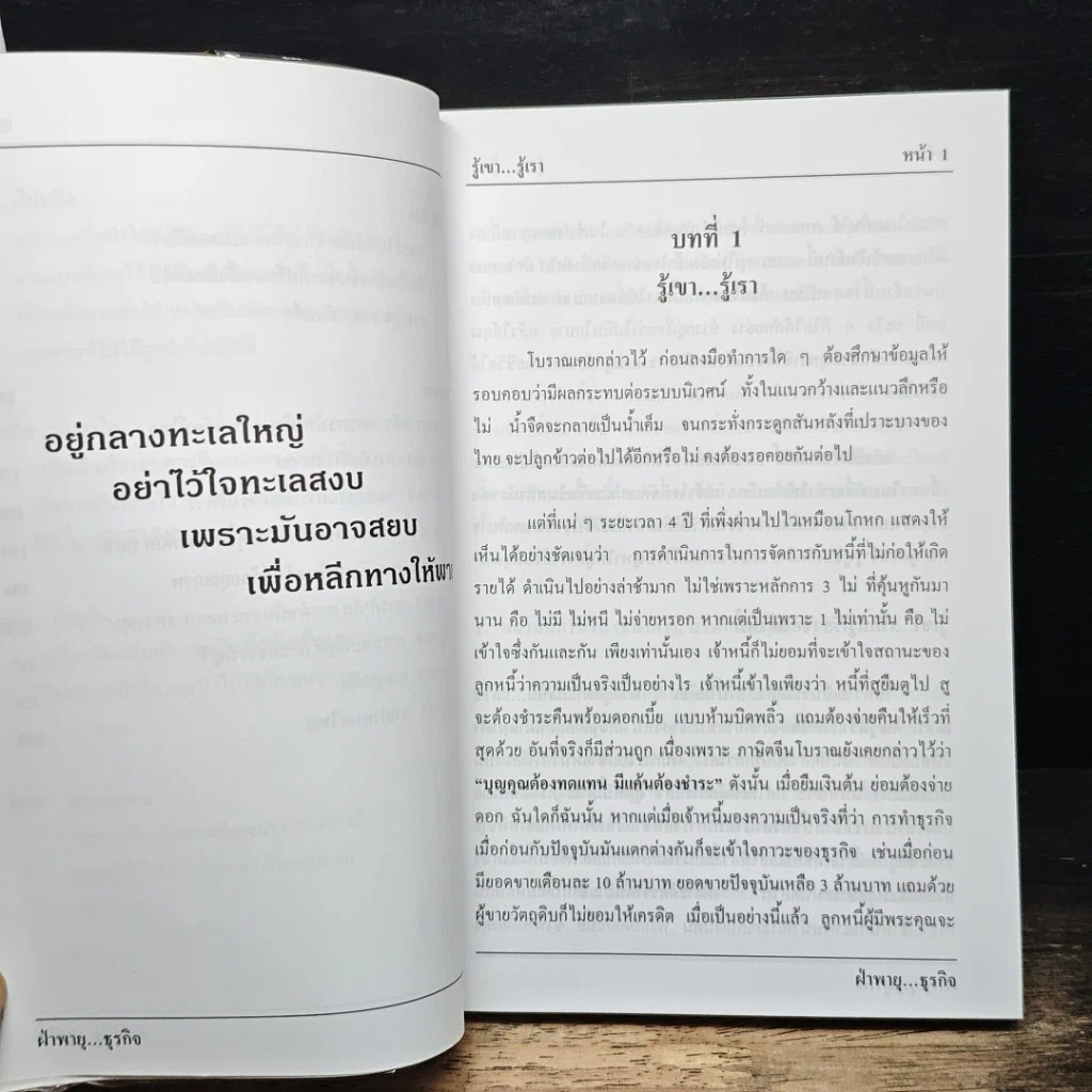 หนังสือ ฝ่าพายุ--ธุรกิจ NPL's รูปที่ 9