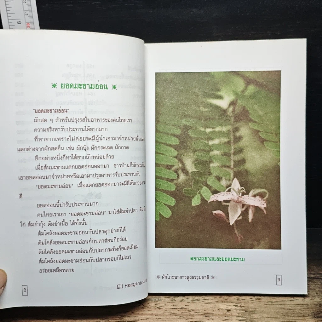 หนังสือ ผัก รูปที่ 8