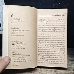 นิยายโรมานซ์ โสเภณีคนเดียว รูปที่ 6