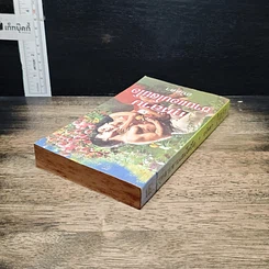 หนังสือ นิยายโรมานซ์ กุหลาบซานแอนโตนิโอ รูปที่ 5
