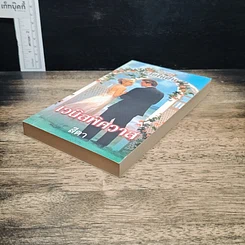 หนังสือ นิยายโรมานซ์ นวนิยายชุด ชายในฝัน เวนิสพิศวาส รูปที่ 4