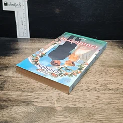 หนังสือ นิยายโรมานซ์ นวนิยายชุด ชายในฝัน เวนิสพิศวาส รูปที่ 5