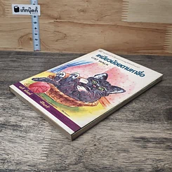 หนังสือ เหมียวน้อยตามหาชื่อ รูปที่ 3
