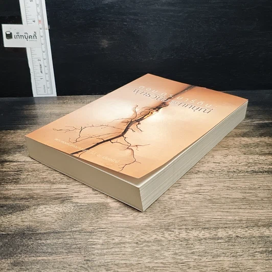 หนังสือ ตอบดร.มาร์ติน : พุทธวินัยถึงภิกษุณี รูปที่ 4