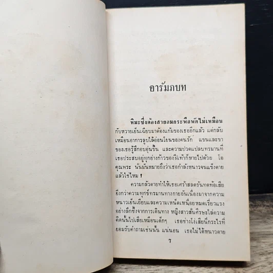 นิยายโรมานซ์ ฝันนั้นนิรันดร รูปที่ 8