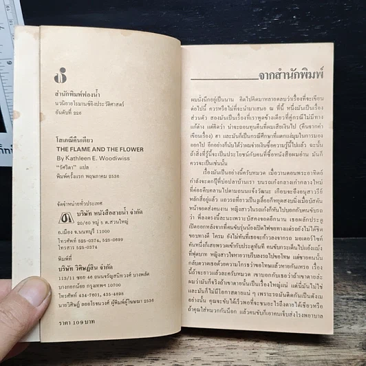 นิยายโรมานซ์ โสเภณีคนเดียว รูปที่ 6